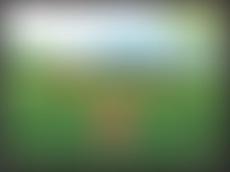 Voters approve Salamanca school budget, capital project