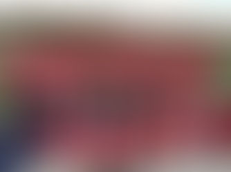 Salamanca Warriors win CCMFL PeeWee A championship