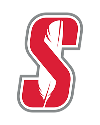 Salamanca schools adopt ‘brand’ design not related to logo, name concern