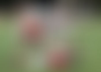 Salamanca visits Portville, newly merged Cardinals face Titans in Week 1