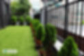 3F6A9483.JPG