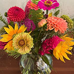 IMG_7668.PNG