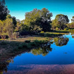 009-2 (Wix Portfolio Gallery)