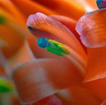 PNW_2441 (Wix Portfolio Gallery)