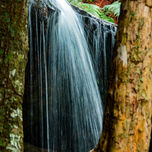 PNW_3528 (Wix Portfolio Gallery)