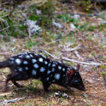 PNW_5507 (Wix Portfolio Gallery)