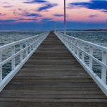 IMG_2541 (Wix Portfolio Gallery)