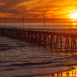 PNW_6308-Edit (Wix Portfolio Gallery)