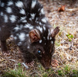 PNW_5530 (Wix Portfolio Gallery)