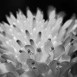 PNW_2437 (Wix Portfolio Gallery)