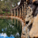 446 (Wix Portfolio Gallery)