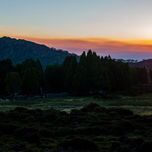 PNW_5436 (Wix Portfolio Gallery)