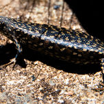 PNW_5382 (Wix Portfolio Gallery)