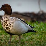 PNW_3917-Edit-Edit (Wix Portfolio Gallery)