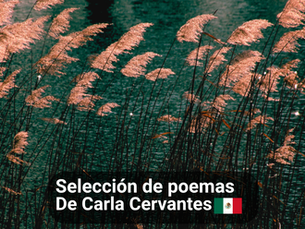 Poemas de Carla cervantes