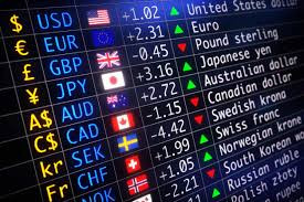 FOREX VE YURTDIŞI PİYASALAR GRUBU (AYLIK)