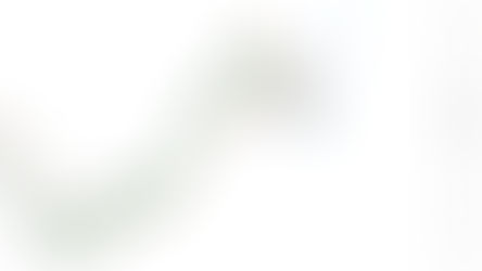 Zaman içerisinde yapılan isabetli tahminlerden bazılarını burada bulacaksınız. İlk örnek Ons Altın.