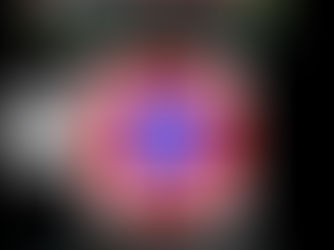 Friendly Fire from Haunchwood Dragons!