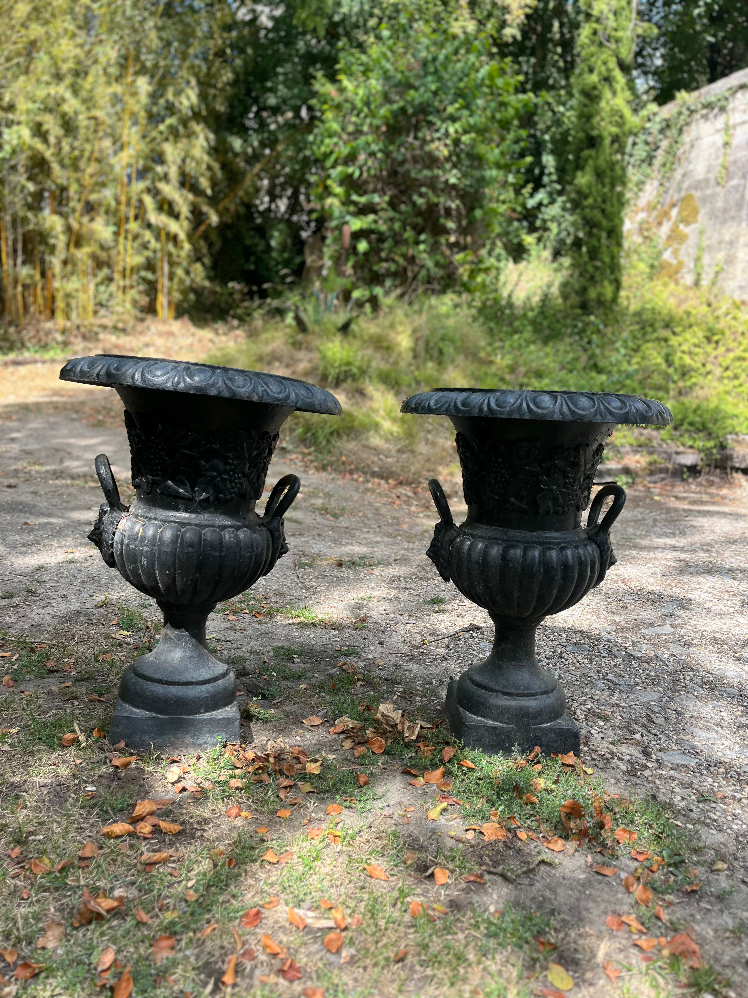 Vases Médicis 