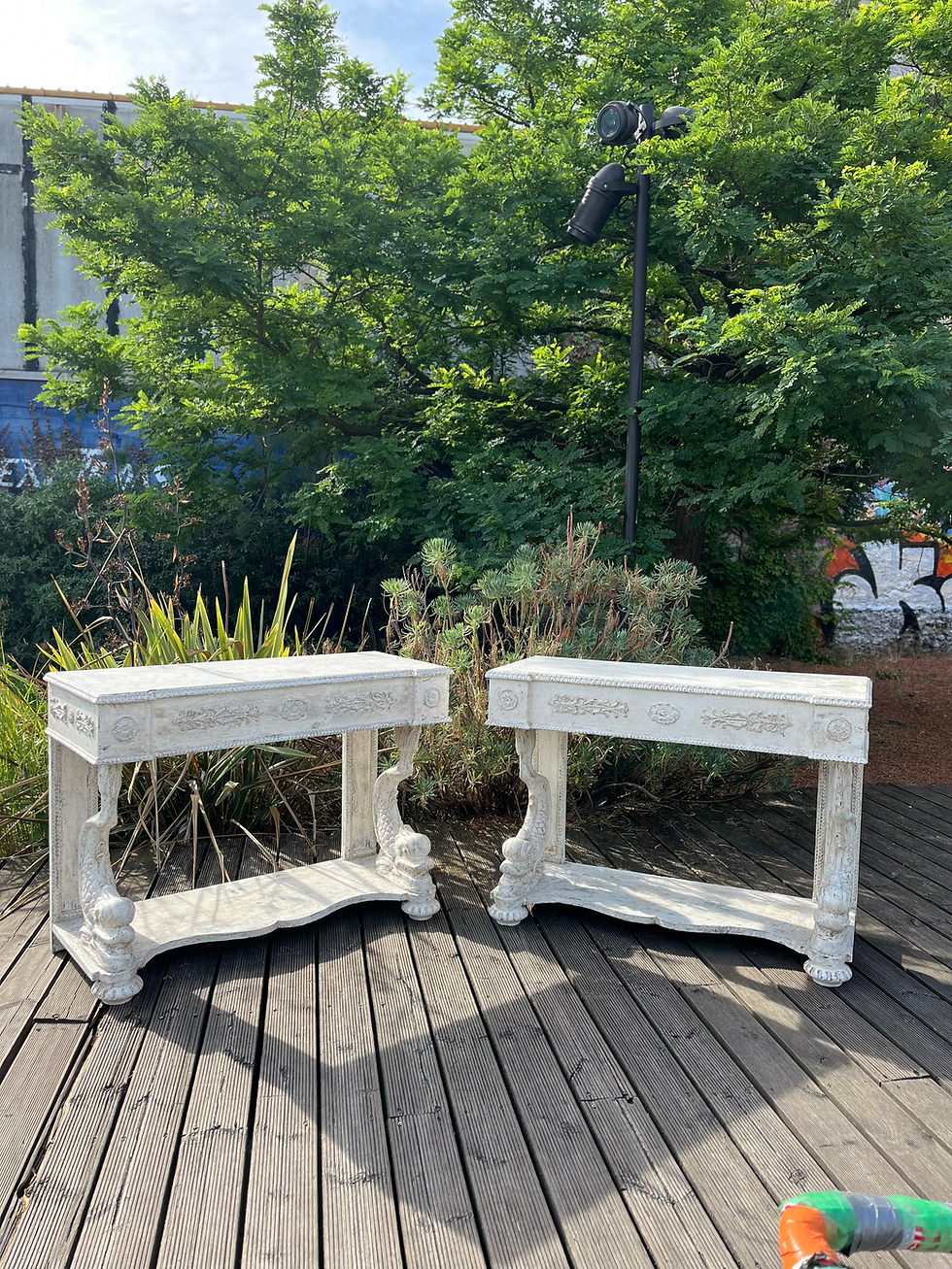 Miniature : Console(s) aux dauphins 