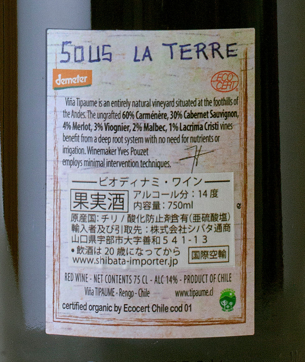 サムネイル： SOUS LA TERRE｜スーラテレ　2018