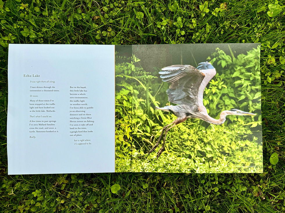 Thumbnail: A Closer Look -- Book, Card