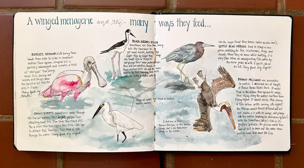 My travel/nature journal entry from this experience.