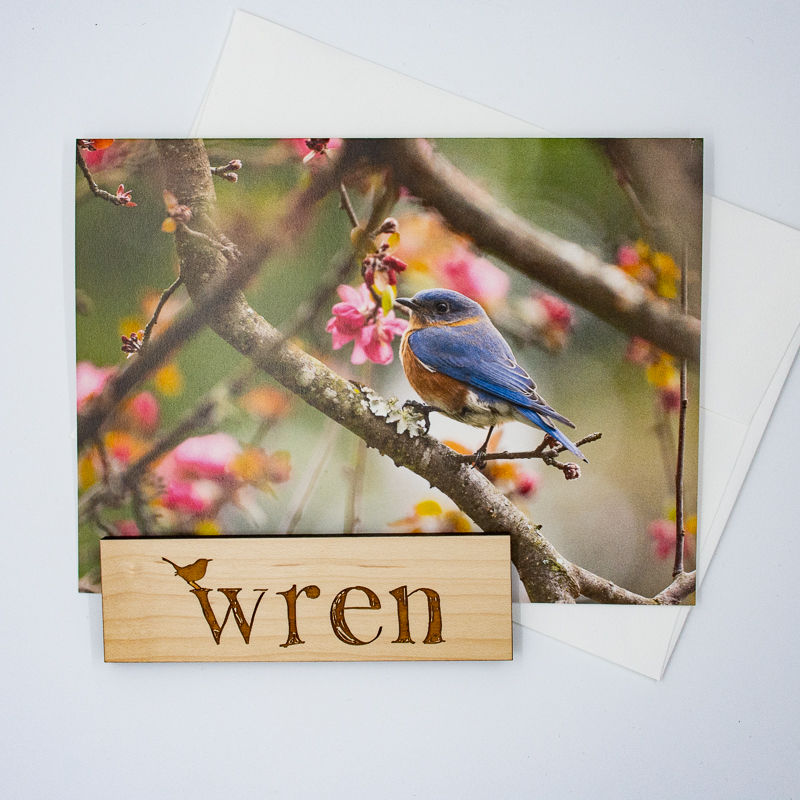 Thumbnail: Bluebird Amidst Dogwood Blossoms (Blank) Greeting Card