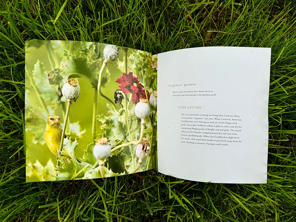 Thumbnail: A Closer Look -- Book, Card