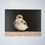Thumbnail: Baby Rough-winged Swallow (Blank) Greeting Card