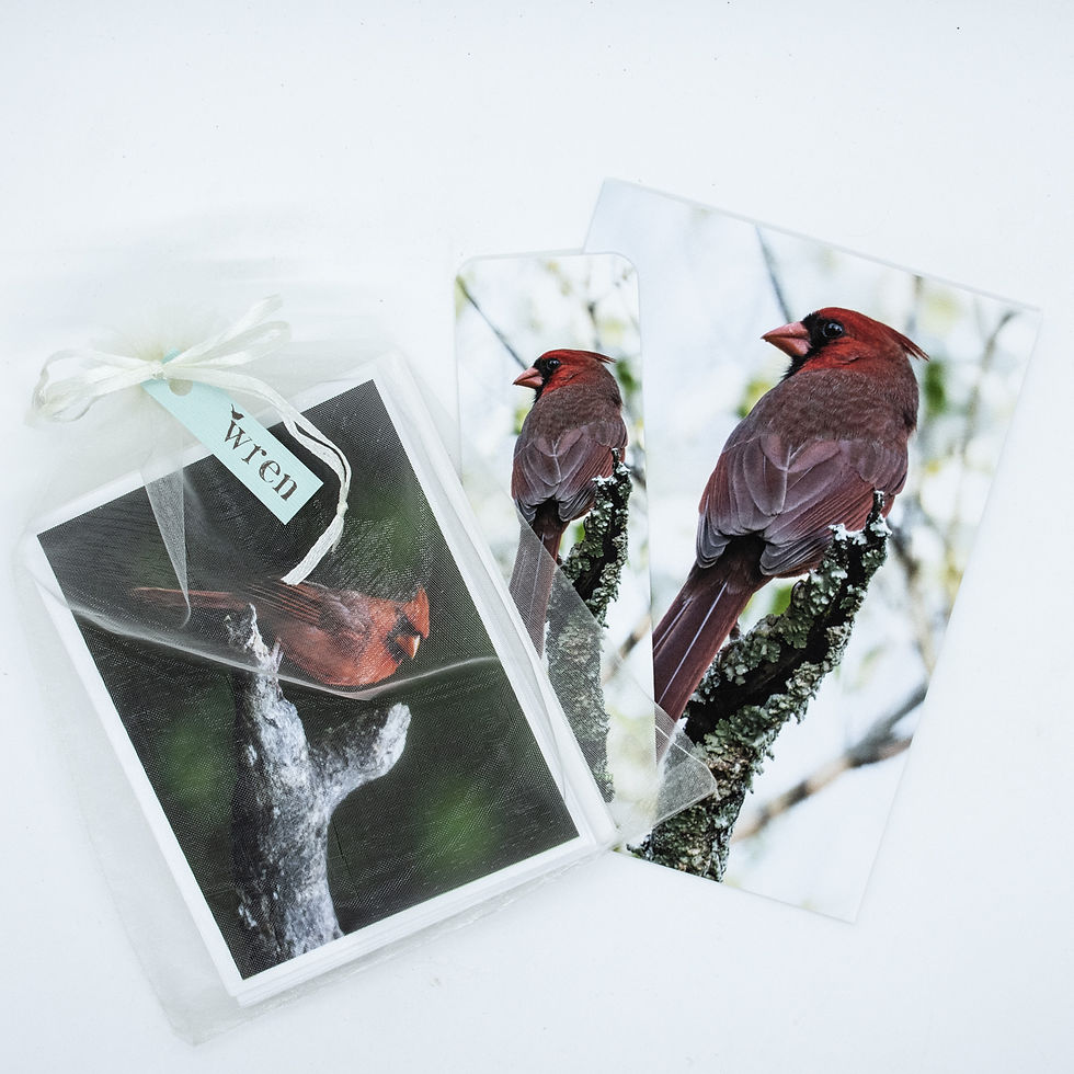 Thumbnail: Bookmark, Cardinal