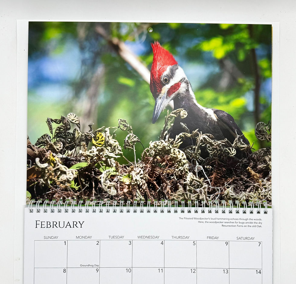 Thumbnail: 2026 Calendar, "A Closer Look"