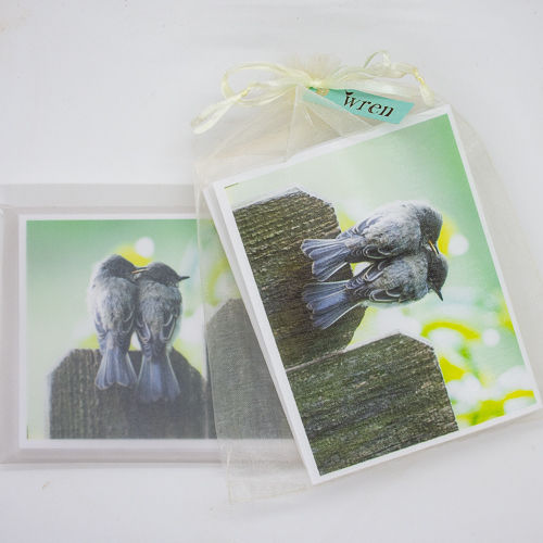 Thumbnail: Small 8-card pack | Eastern Phoebes
