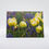 Thumbnail: Yellow Tulips (Blank) Greeting Card
