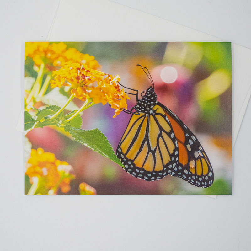 Thumbnail: Monarch on Lantana (Blank) Greeting Card