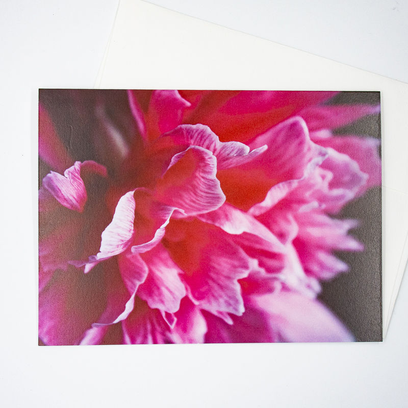 Thumbnail: Peony (Blank) Greeting Card