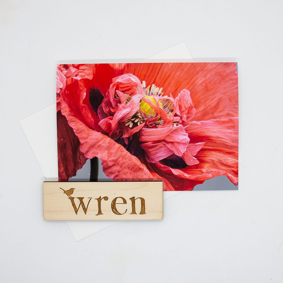 Thumbnail: Poppy Unfurling (Blank) Greeting Card