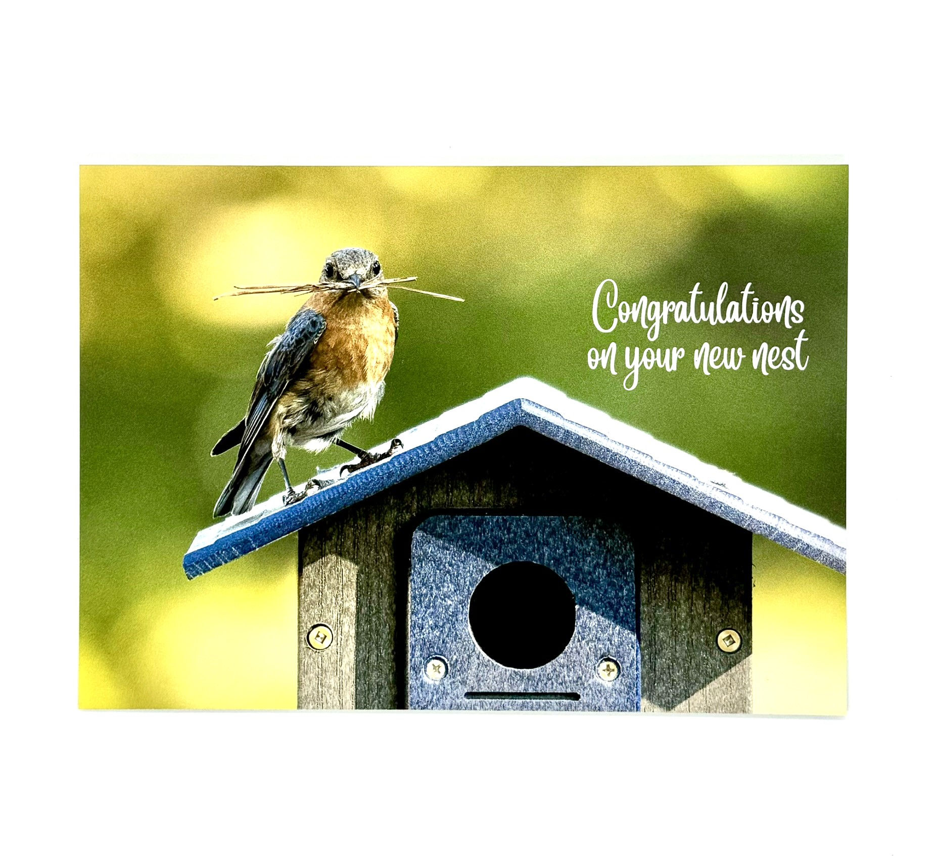 New Home -- Bluebird Nest-building