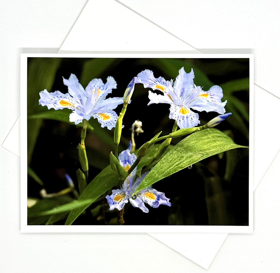 Thumbnail: Small card 8-pack | Purple Iris Collection