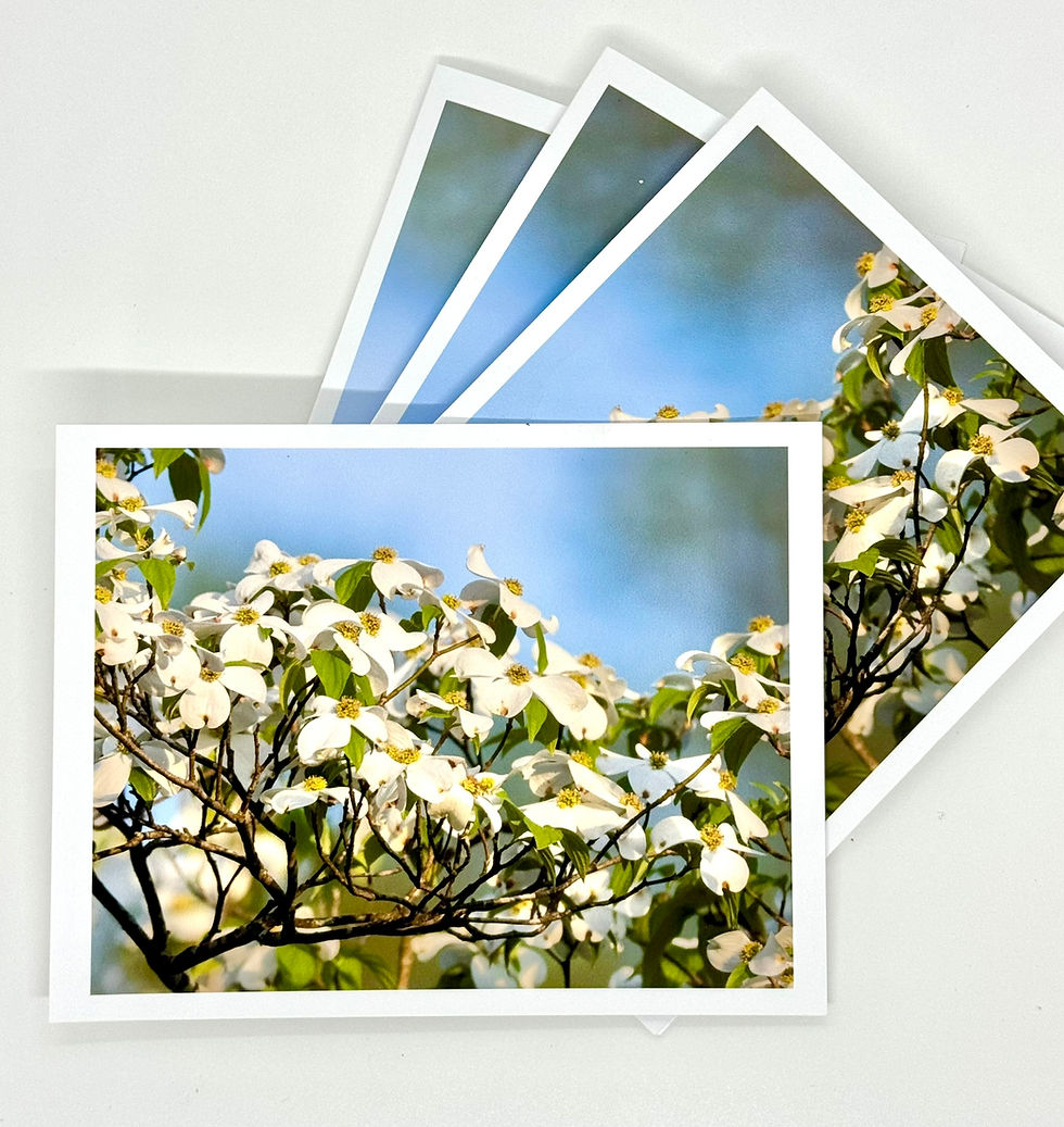 Thumbnail: Dogwood Collection Gift Set: Greeting Card and Small 8-pack Note Card Set