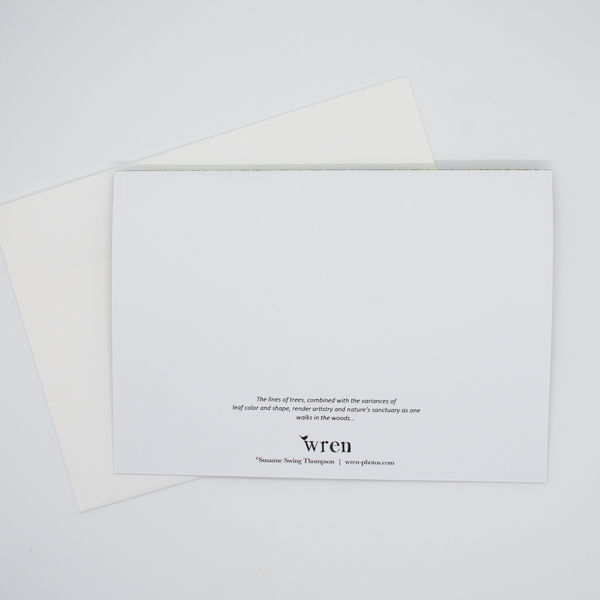 Thumbnail: Red Daylily (Blank) Greeting Card