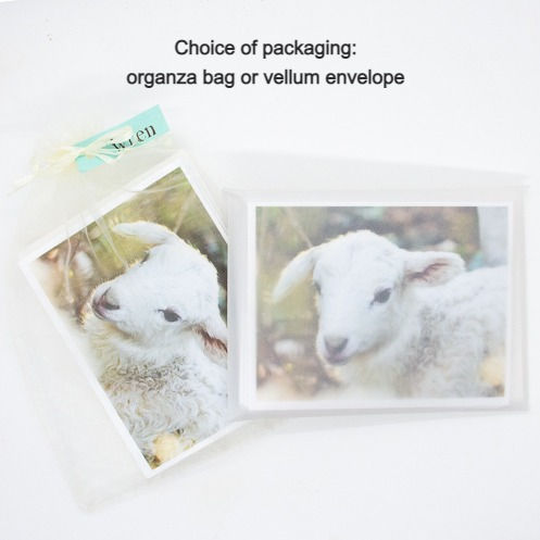 Thumbnail: Lamb Gift Set: Greeting Card and Small 8-pack Note Cards
