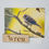 Thumbnail: Baby Bluebird (Blank) Greeting Card
