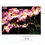 Thumbnail: Pink Dogwood Greeting Card