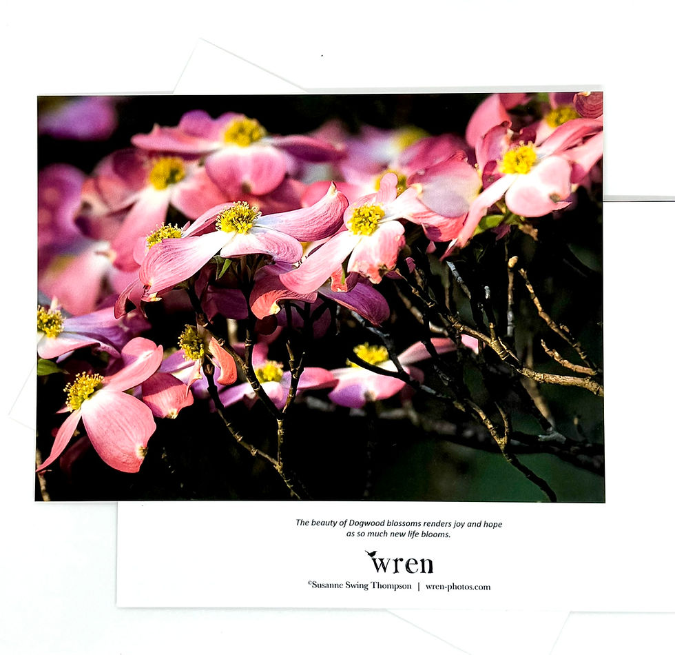 Thumbnail: Pink Dogwood Greeting Card