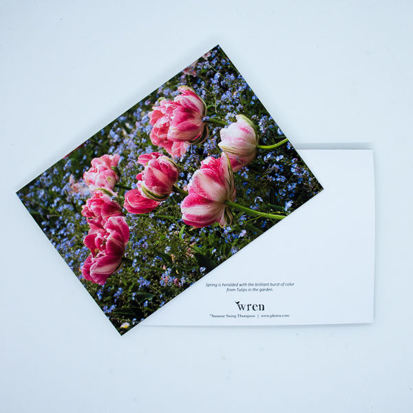 Thumbnail: Tulips (Pink and White) Greeting Card