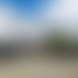 Bristol Britannia, Canadair CL-28 Argus and Canadair CL-44