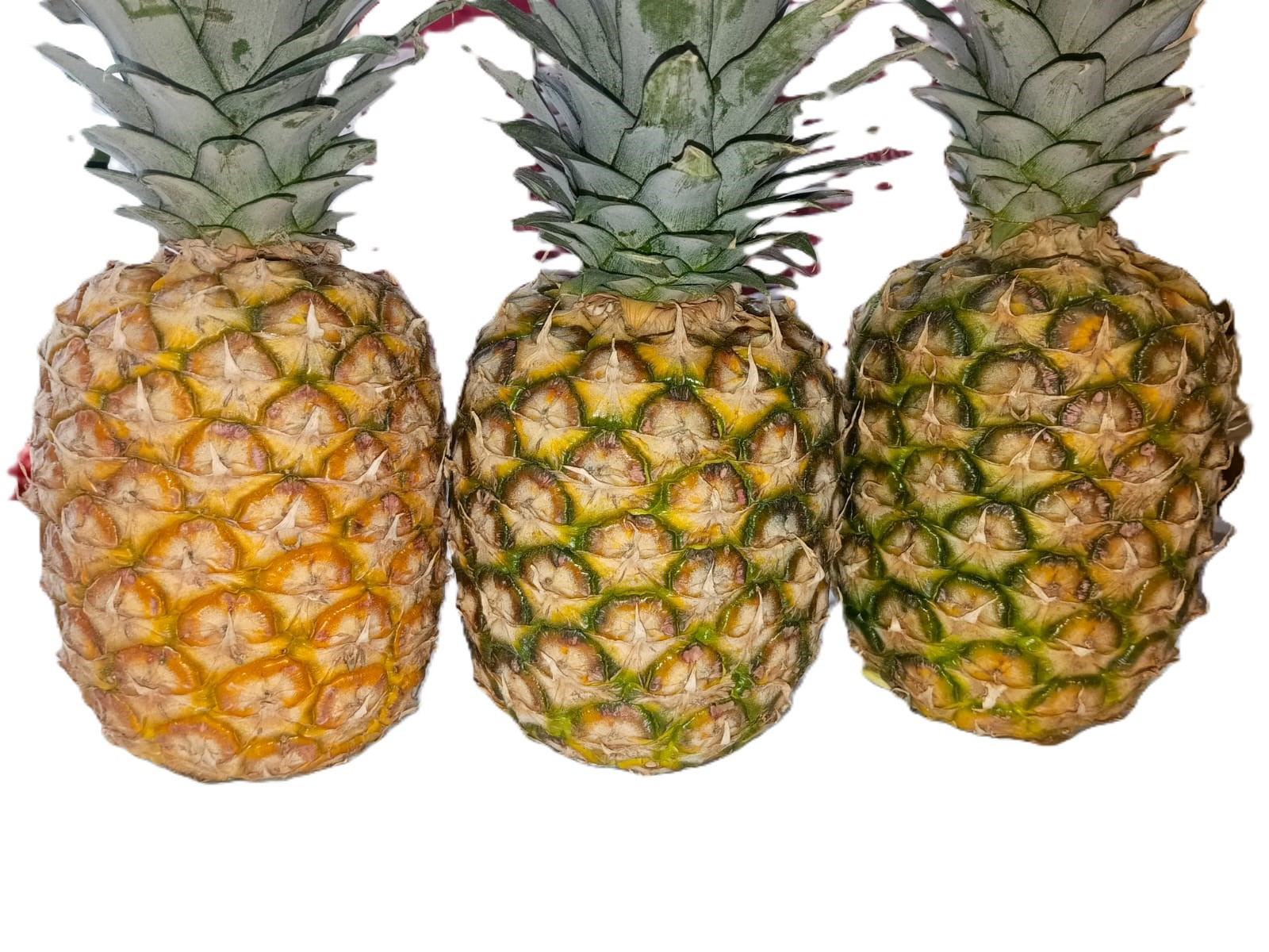 Piña C/U