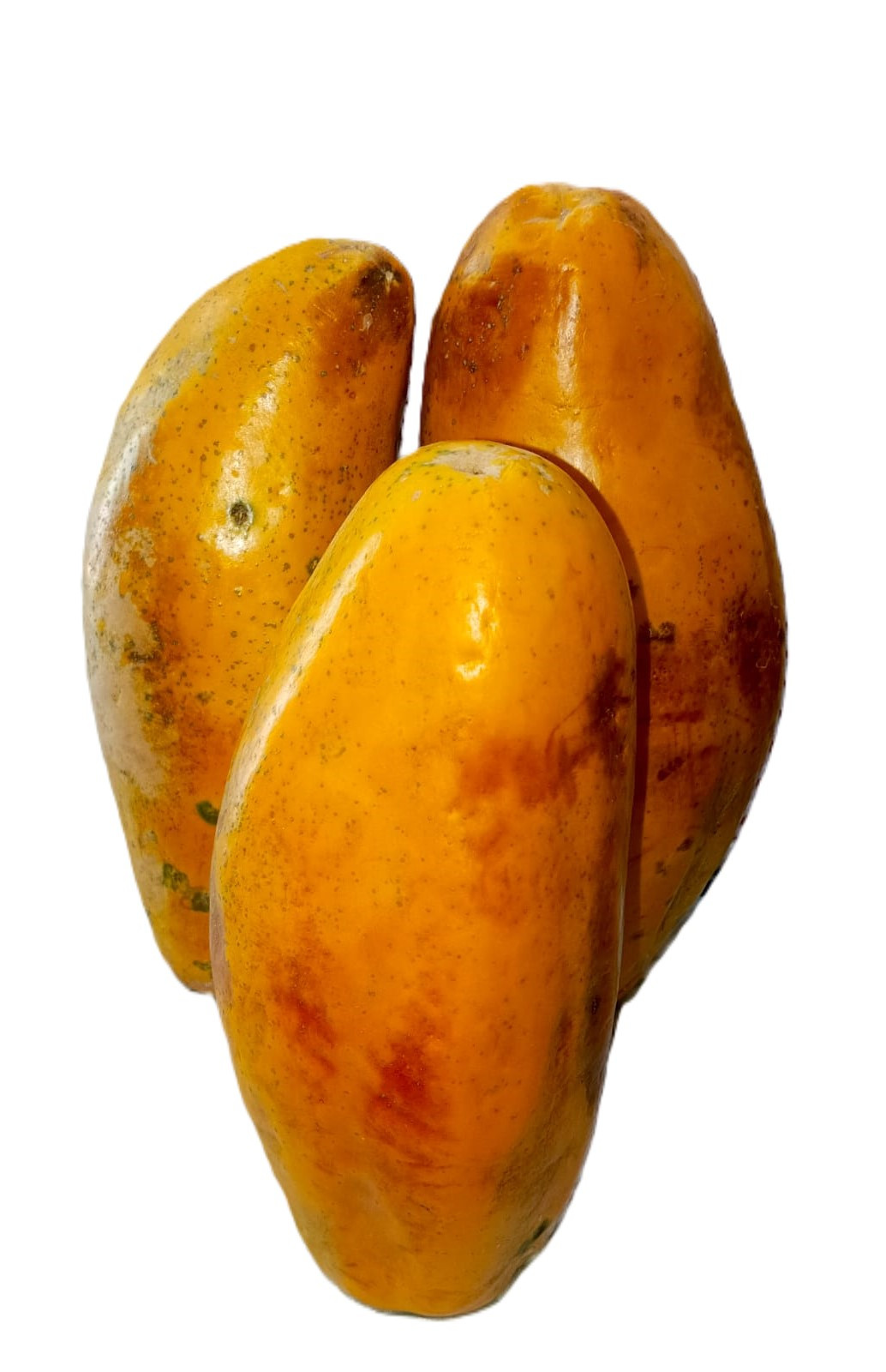Papaya mediana c/u