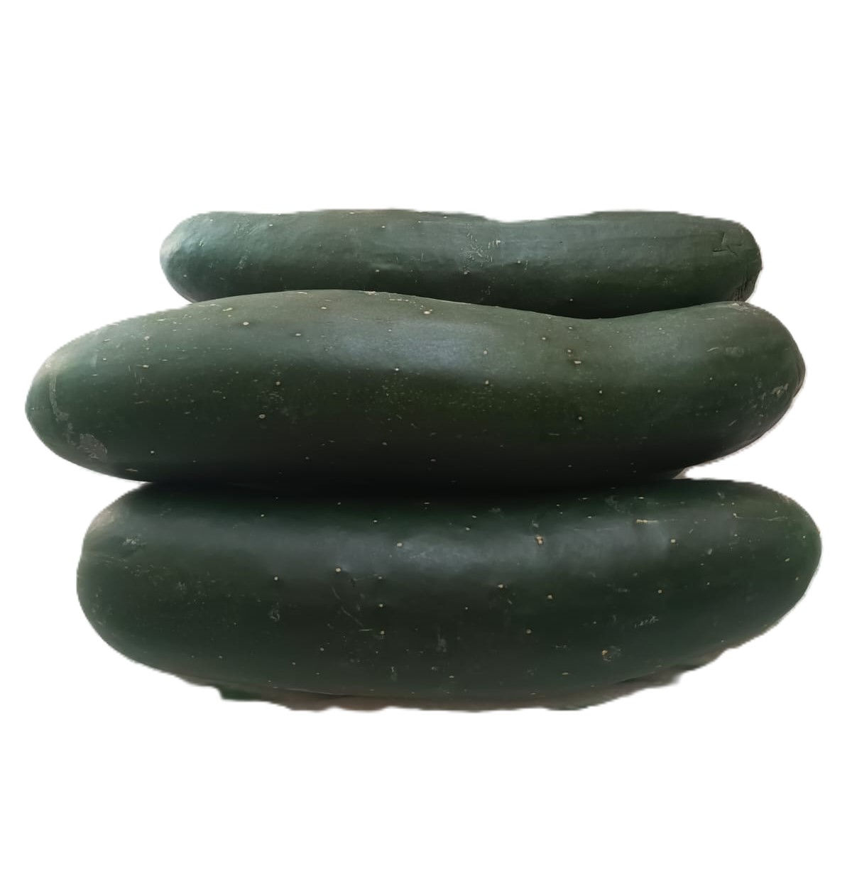 Pepinillo 1kg